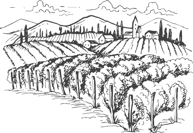 Ein Hintergrundbild eines Weinberges und Weinfeldes.